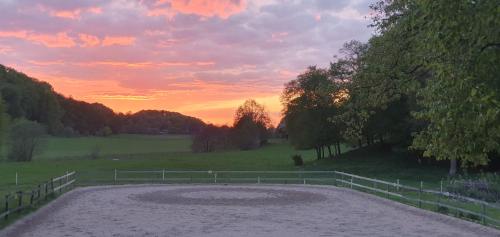 a sunset in a field with a fence and a dirt road at Stuga på hästgård in Svenstorp