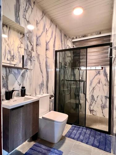a bathroom with a shower and a toilet and a sink at 1 Bedroom Sunset & Mountain View Chalet in Aburi in Aburi