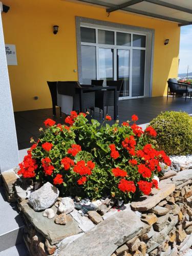 a flower bed with red flowers in front of a house at A Flor da Rosa in Vila Nova de Foz Coa