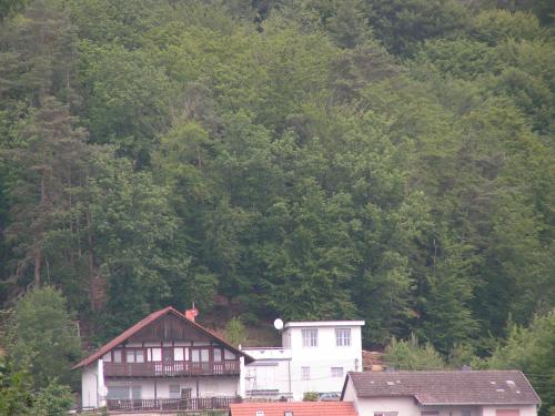 a house in front of a mountain with trees at Wellness und Wander Oase Burgwald 