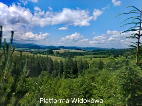 Příroda nedaleko apartmánu