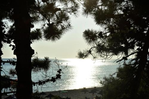 a view of the beach from between two trees at VILA Daniele in Durrës