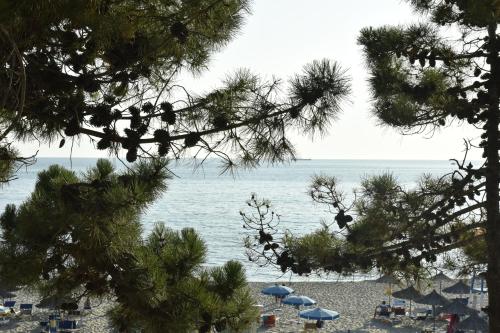 a view of the beach through some pine trees at VILA Daniele in Durrës