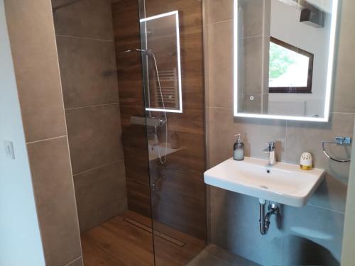 a bathroom with a shower and a sink and a mirror at Villa Roko in Ličko Lešće