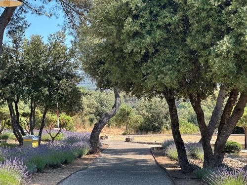 Jardín al aire libre en Le Phébus & Spa – Relais & Châteaux