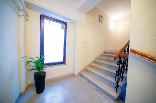 a stairwell with a potted plant and a window at H&H Luxury Apartments in Arad