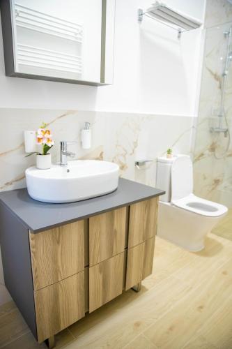 a bathroom with a sink and a toilet at H&H Luxury Apartments in Arad