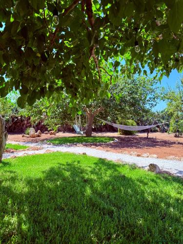 a hammock hanging from a tree in a park at Villa Chimera in Pachino
