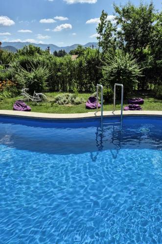 a swimming pool with blue water in a yard at Pensiunea Vila Silva I in Haţeg