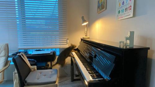 a cat sitting in a chair next to a piano at Glow House Seongsu A - Cozy and Brown Cat 외국인전용 in Seoul