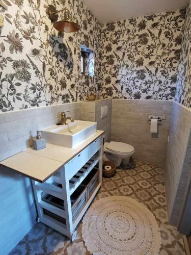 a bathroom with a sink and a toilet at Kelepelő Porta in Poroszló