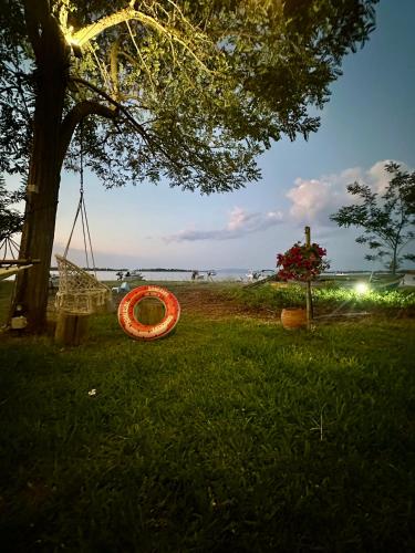 an orange ring laying on the grass under a tree at Sea Side Caravan in Vourvourou