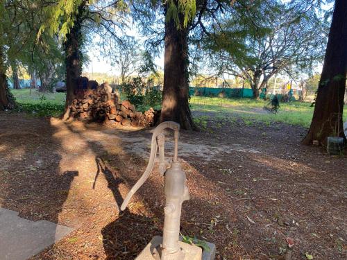 a fire hydrant in a park next to a tree at La quinta in Piquete