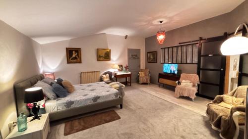 a living room with a bed and a tv in it at Chambre d'hôte SOJANI in Romenay