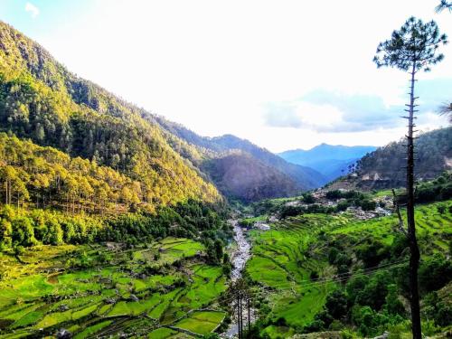 Un paisaje natural cerca del departamento