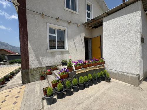 a group of potted plants on the side of a building at Dostuk in Naryn