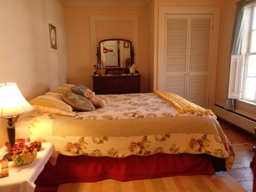 a bedroom with a bed with a dresser and a mirror at Artful Lodging & Retreats in Montpelier