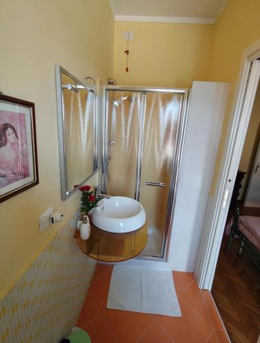 a bathroom with a shower and a white sink at B&B Piccola Parigi in San Giacomo