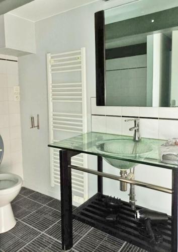 Bordeaux historic center Charming Duplex 5 travelers