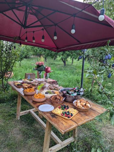 a picnic table with food on it under an umbrella at Noosh guesthouse in Ashnak