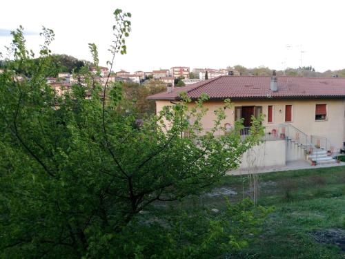 a house with a tree in front of it at La Casa delle Stelle di Semproniano in Semproniano