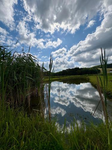 a reflection of the sky in a pond at Urocze Roztocze Jacnia - domek 1 in Jacnia