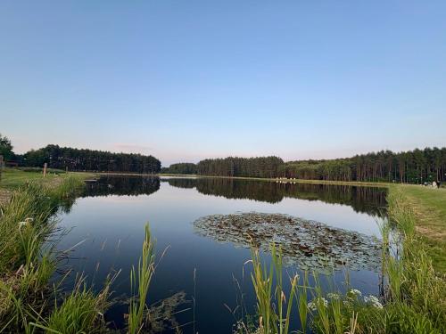 a large lake with trees in the background at Urocze Roztocze Jacnia - domek 1 in Jacnia