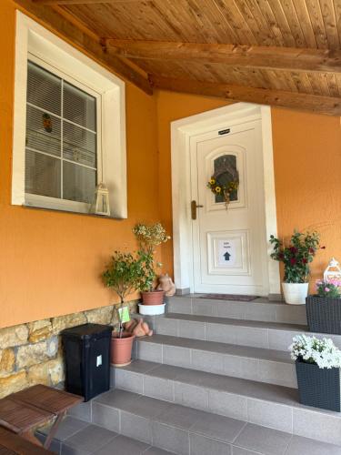 a front door with potted plants on the stairs at Dům FAUNA V Českosaském Švýcarsku in Janov