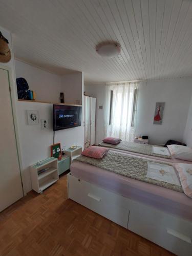a bedroom with a large bed and a tv at Apartman Karo in Vrsar
