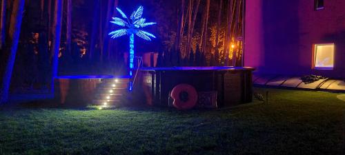 a palm tree in a room with purple and blue lights at Villa Tropico śniadanie i obiadokolacja in Pobierowo