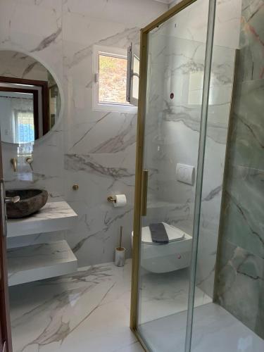 a bathroom with a shower and a toilet and a sink at Syvota Sunset Apartments in Perdika