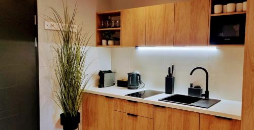 a kitchen with a sink with two coffee makers on it at Srebrna Ostoja 65- Atlas Arena, PIOTRKOWSKA, Manufaktura, PRYWATNY PARKING in Łódź