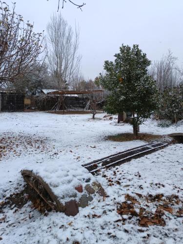 a snow covered field with a tree and a bridge at El Parralito in Mendoza