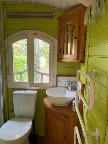 a green bathroom with a toilet and a sink at Maison d'hôtes Il était une fois in Pont-lʼÉvêque