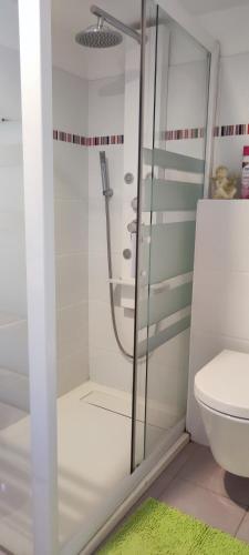 ein Badezimmer mit Dusche und Toilette in der Unterkunft locfarefarani in Sorède
