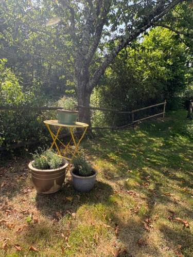 a table with two potted plants sitting next to a tree at Chambre d'Hôtes du Domaine de Gargoris, Terrasse Privée & Piscine in Pont-du-Casse