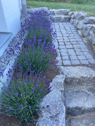 Κήπος έξω από το Gemütliche Oase im Voralpenland
