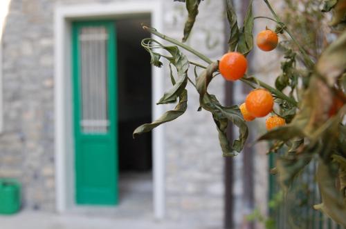 a bunch of oranges on a tree with a green door at PRIMA DEL CIELO - appartamento LAGO in Esino Lario