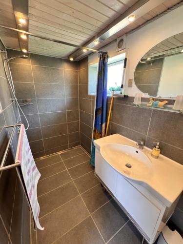 a bathroom with a sink and a mirror at Fynshav in Augustenborg