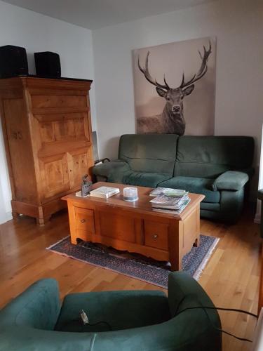 Grand appartement centre ville