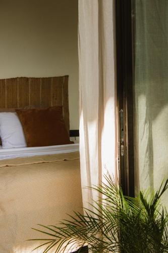 a bedroom with a bed and a window with a plant at Maze Lodge in Puerto Jiménez