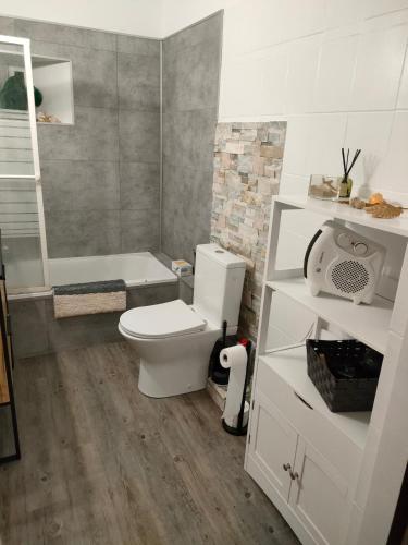a white bathroom with a toilet and a shower at Gîte au coeur du Plantaurel in Cazaux