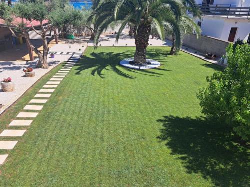 a green lawn with a palm tree in a park at RIVA GARDEN relax in Novigrad Istria
