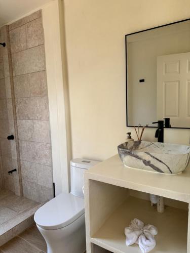 a bathroom with a toilet and a sink at Maze Lodge in Puerto Jiménez
