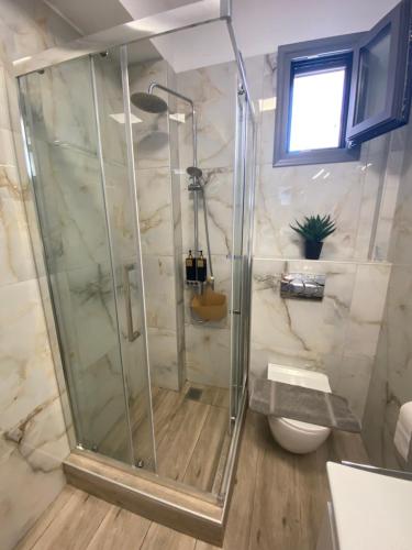 a bathroom with a shower and a toilet at Sarra Apartment Halkidiki in Kalyves Poligirou