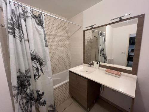 une salle de bain avec un lavabo et un rideau de douche dans l'établissement Joli T2 Terrasse Parking privé Confort, à Montpellier