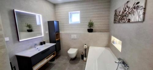 a bathroom with a sink and a tub and a toilet at Apartments Davor in Drage