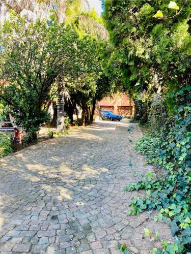 a cobblestone street with trees and plants on it at The Qs guest suite in Vosburg