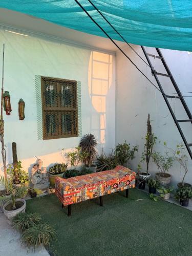 a patio with a couch and a bunch of plants at Aadesh Home Private Floor With Rooftop in Faridabad
