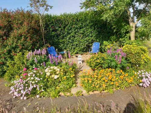 two blue chairs in a garden with flowers at Viking Lodge coastal B&B 